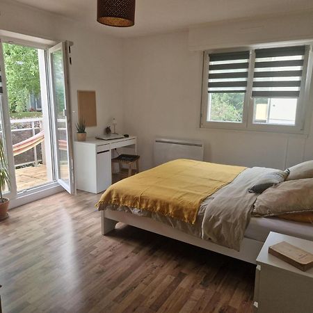 Robertsau Tres Bel Appartement Strasbourg Ngoại thất bức ảnh