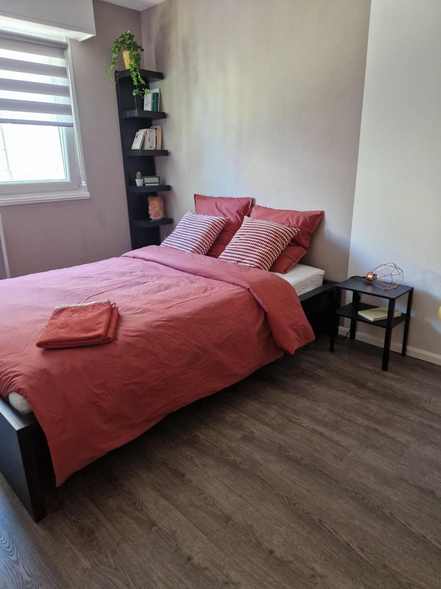 Robertsau Tres Bel Appartement Strasbourg Ngoại thất bức ảnh