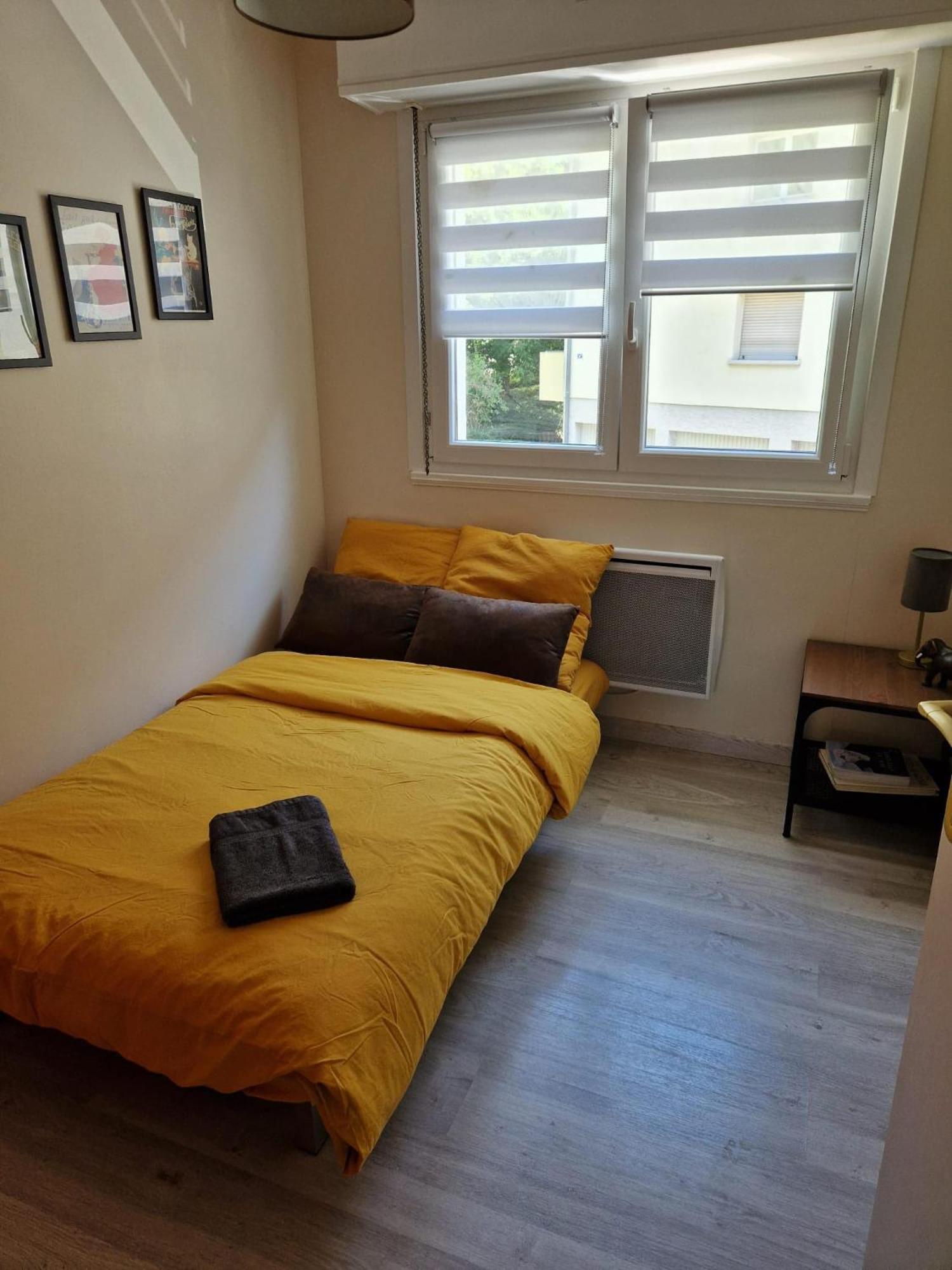 Robertsau Tres Bel Appartement Strasbourg Ngoại thất bức ảnh